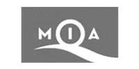 Motor Industry Association